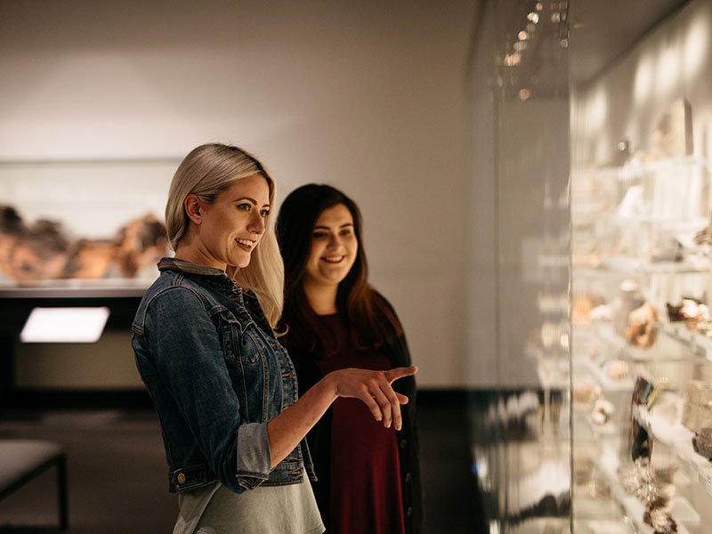 Two visitors discuss an exhibit in the Geology hall.