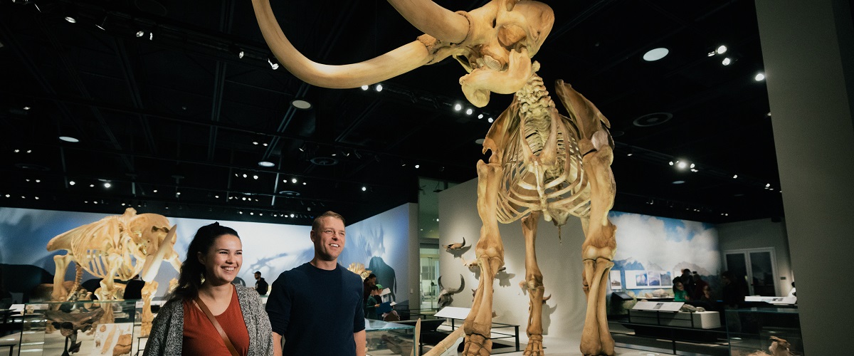 A smiling couple walks past a towering mammoth skeleton. In the background, a mastodon skeleton can be seen.