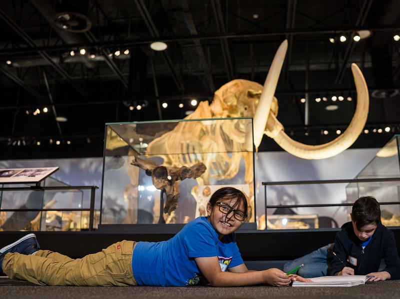 A smiling girl lays on a museum gallery floor with a notepad. Behind her is a large mastodon skeleton display.