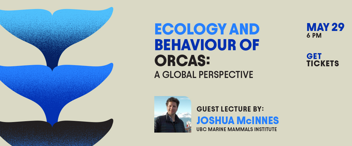 The words "Ecology and Behaviour of Orcas: A Global Perspective. Guest lecture by Joshua McInnes, UBC Marine Mammals Institute. May 29, 6 pm. Get tickets" are displayed on a beige background. Three blue whale tails decorate the right side of the image. A photo of a brown-haired man standing in front of mountains is to the side of the words.
