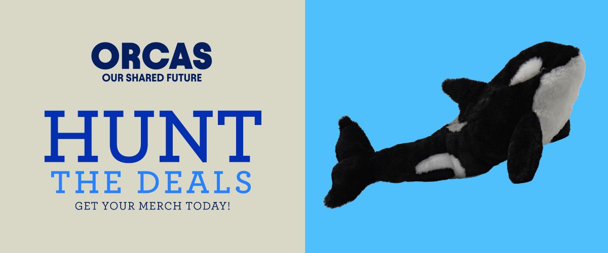 hunt the deals
