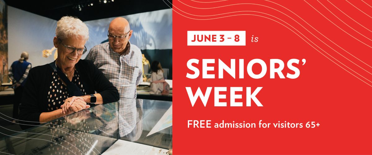 Senior's Week