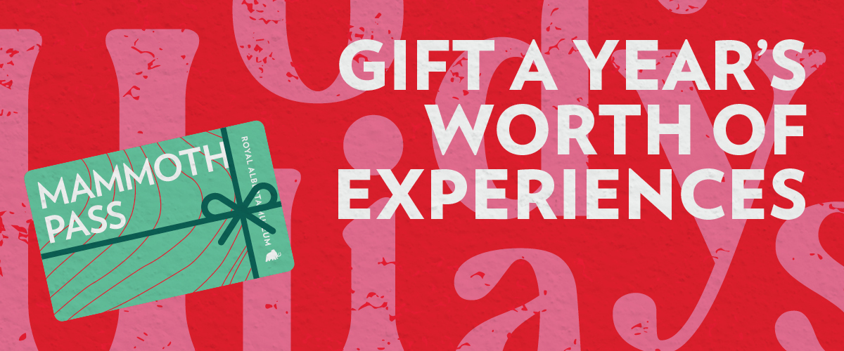 Gift a year's worth of experiences and buy a Mammoth Pass