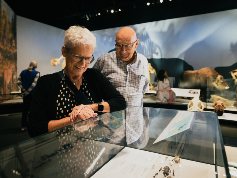 Two seniors look around an exhibit in the Natural History Hall