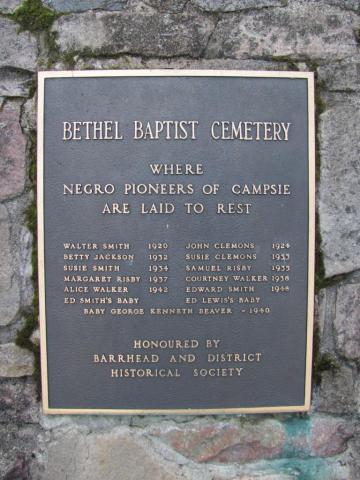 plaque