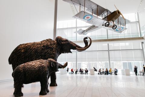 lobby view of mammoths and airplane