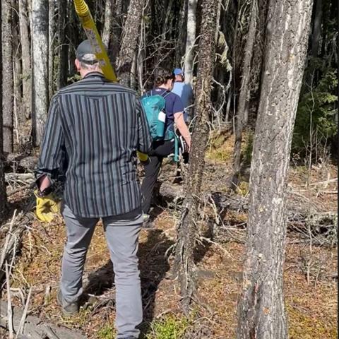 the team makes their way through a forest