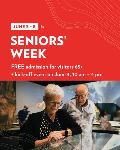 Photo of a senior couple looking into a glass case in the Royal Alberta Museum Natural History Hall. Text above the photo says June 3-8 Seniors' week. Free admission for visitors 65+. Kick-off event on June 3 10 am - 4 pm.