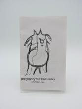 A zine titled Pregnancy for trans folks: a miniature intro. Above the title on the cover we seek a rough abstract doodle.