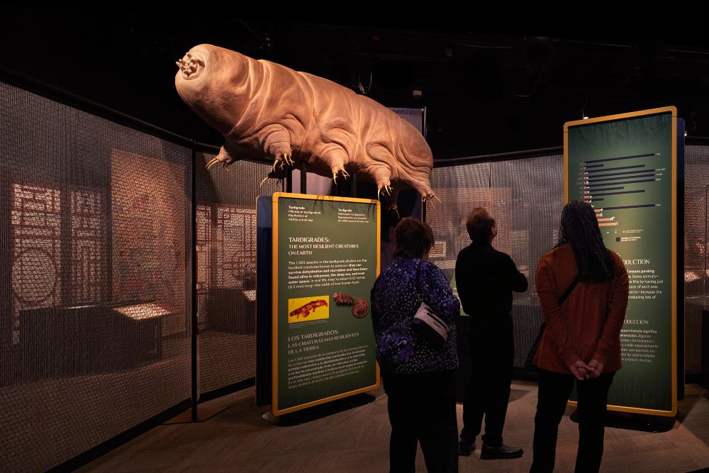 &copy; Field Museum, Michelle Kuo