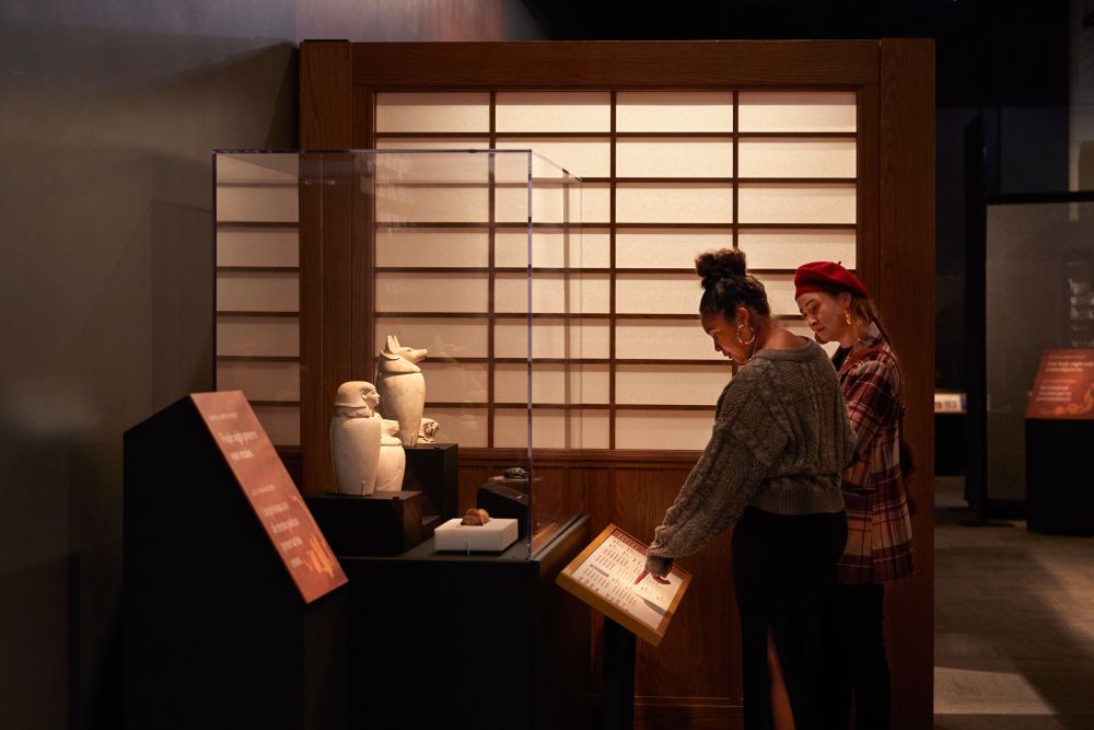 &copy; Field Museum, Michelle Kuo