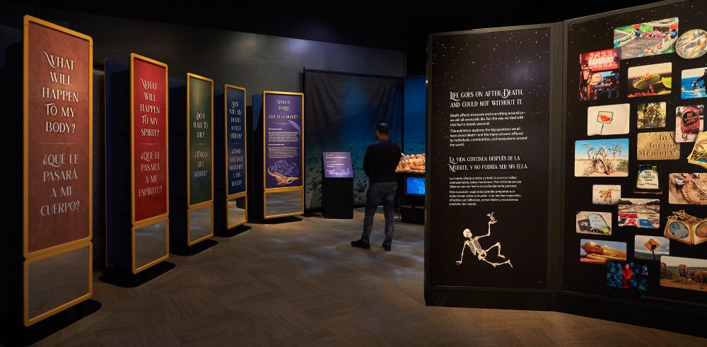 &copy; Field Museum, Michelle Kuo