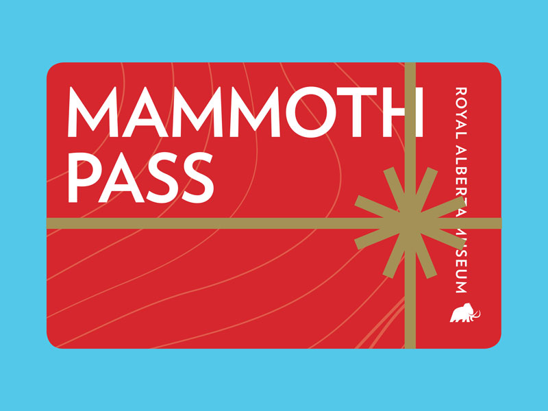 Mammoth Pass image