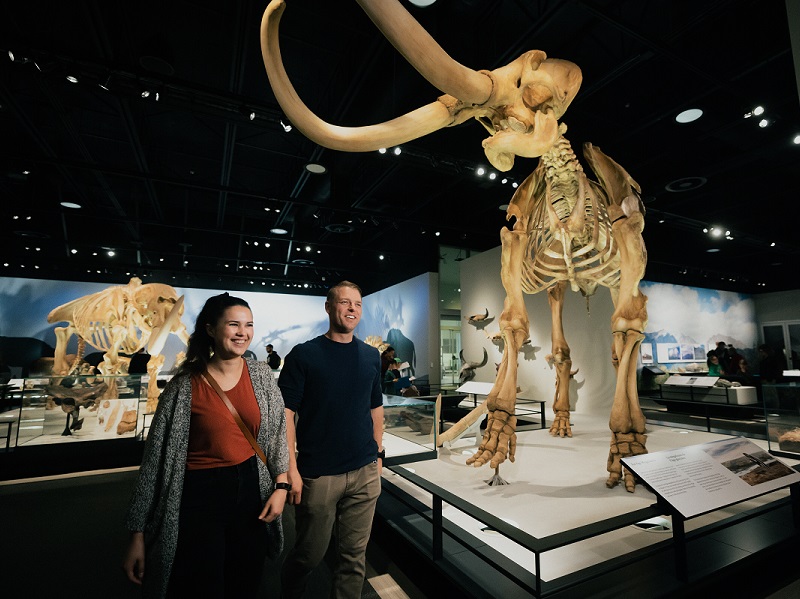 A smiling couple walks past a towering mammoth skeleton. In the background, a mastodon skeleton can be seen.